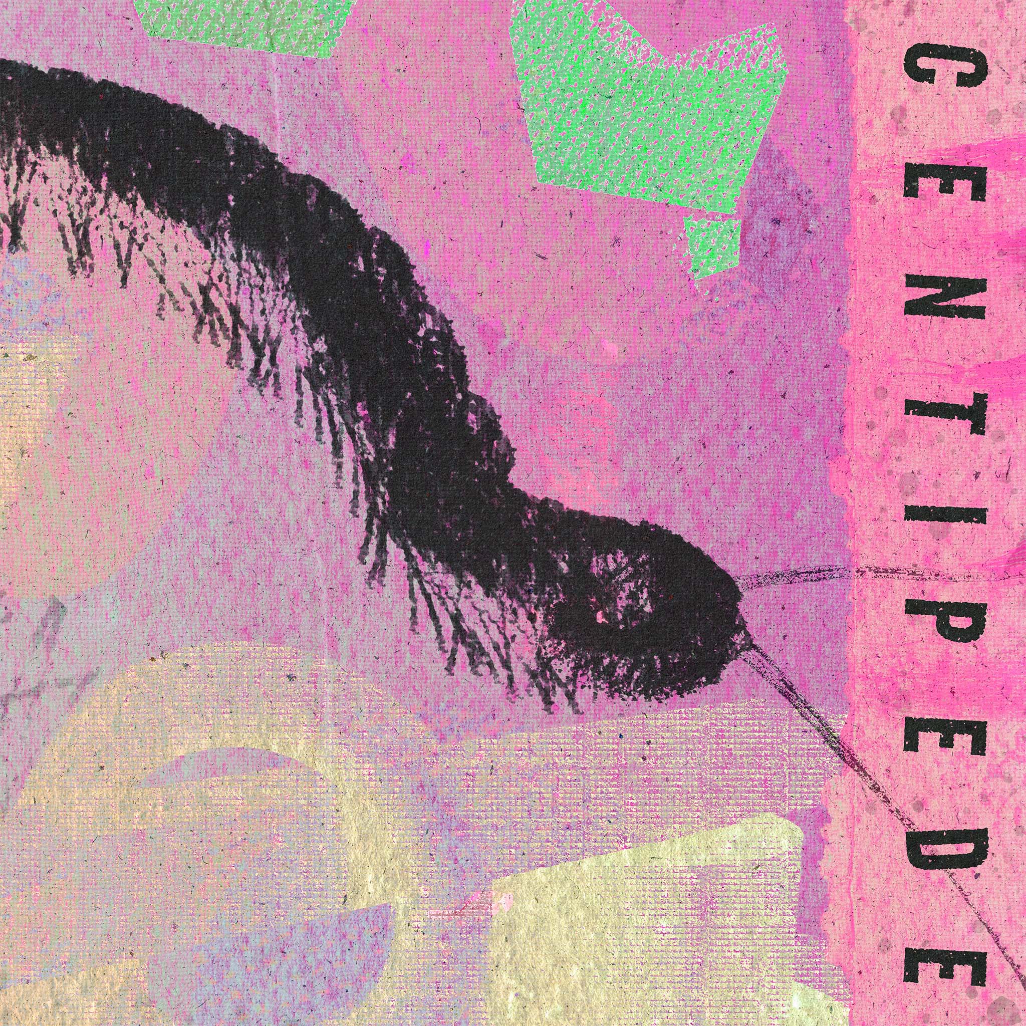 Centipede